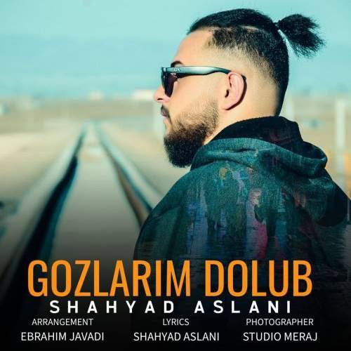 شهیاد اصلانی گوزلریم دولوب